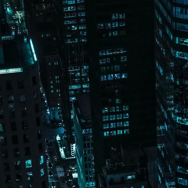 pexels-david-skyrius-2129796(1)(1)